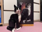 LEGO Ideas: Schwarz-weiße Katze